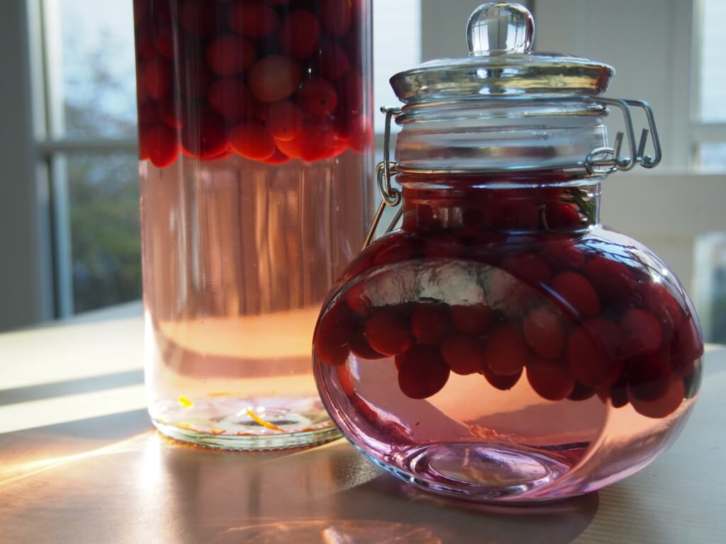 cranberry gin after 1 or 2 days showing pink color seeping into gin