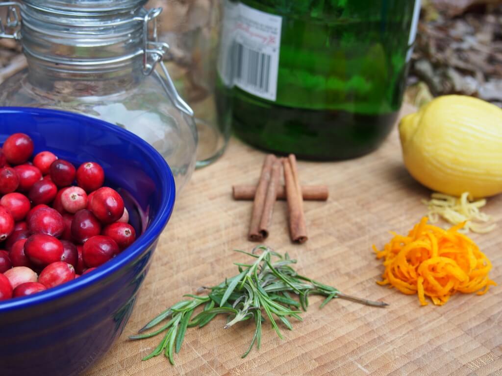 ingredients laid out to make cranberry gin
