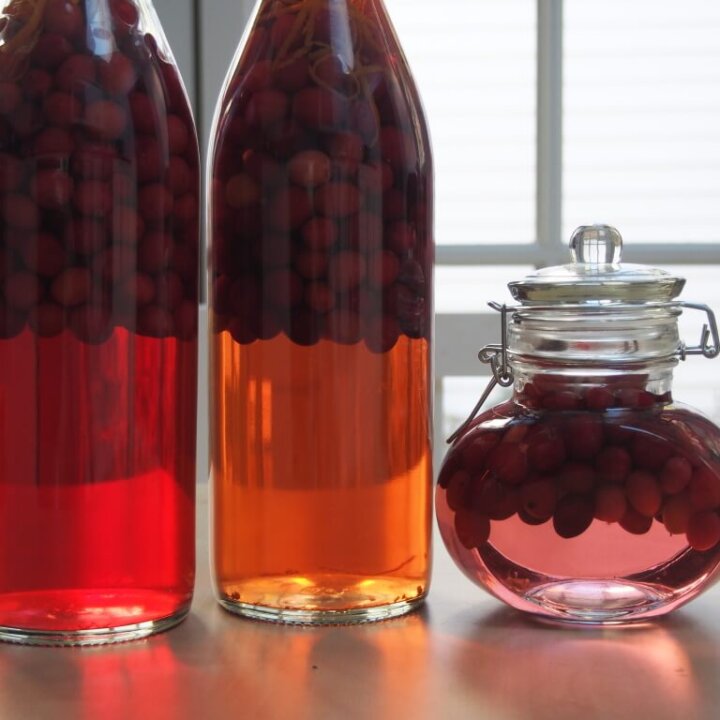 bottles of cranberry gin lined up next to each other