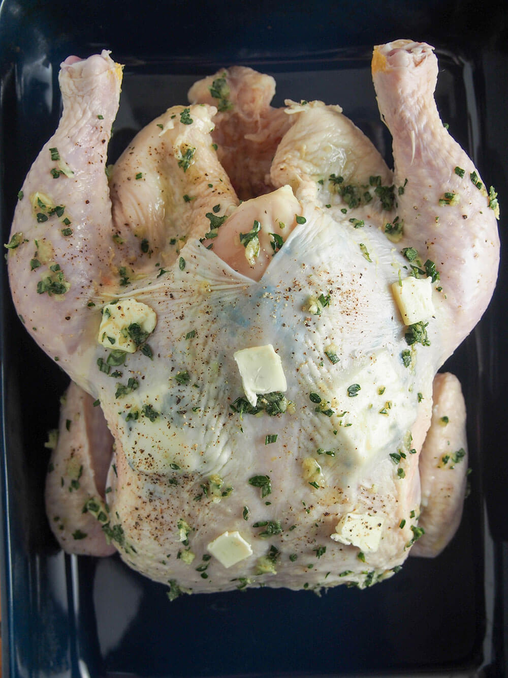 chicken with garlic and herbs ready to roast chicken with garlic herb mixture rubbed under and over skin and pieces of butter under and over, ready to roast