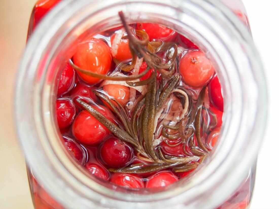 looking inside bottle of infused cranberry gin