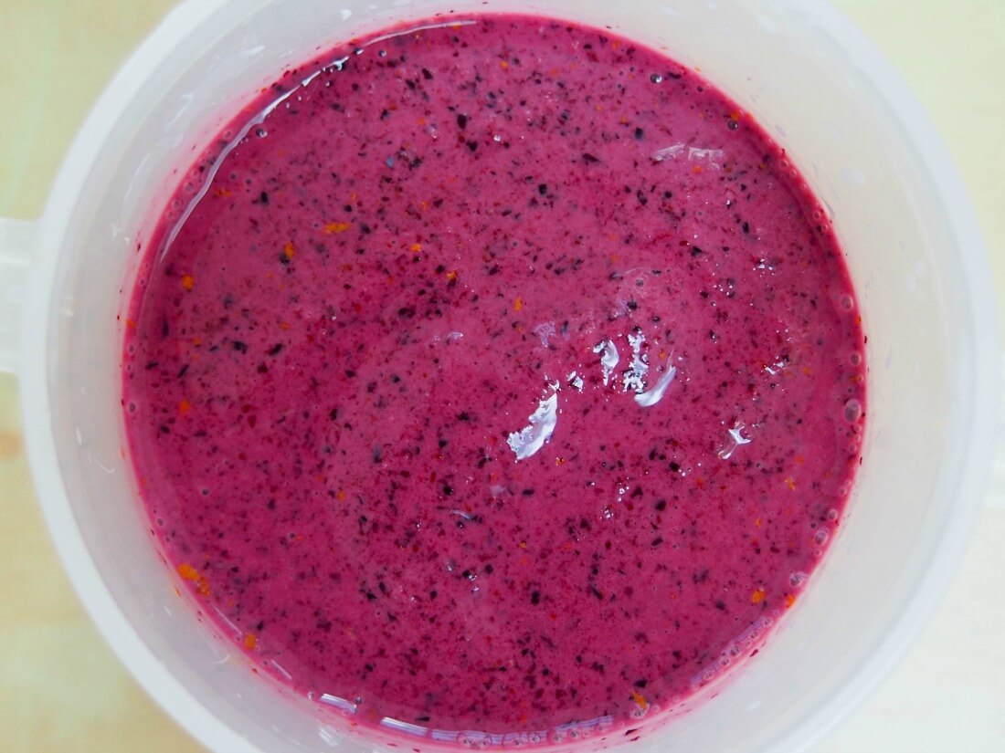 pureed mixture ready to freeze