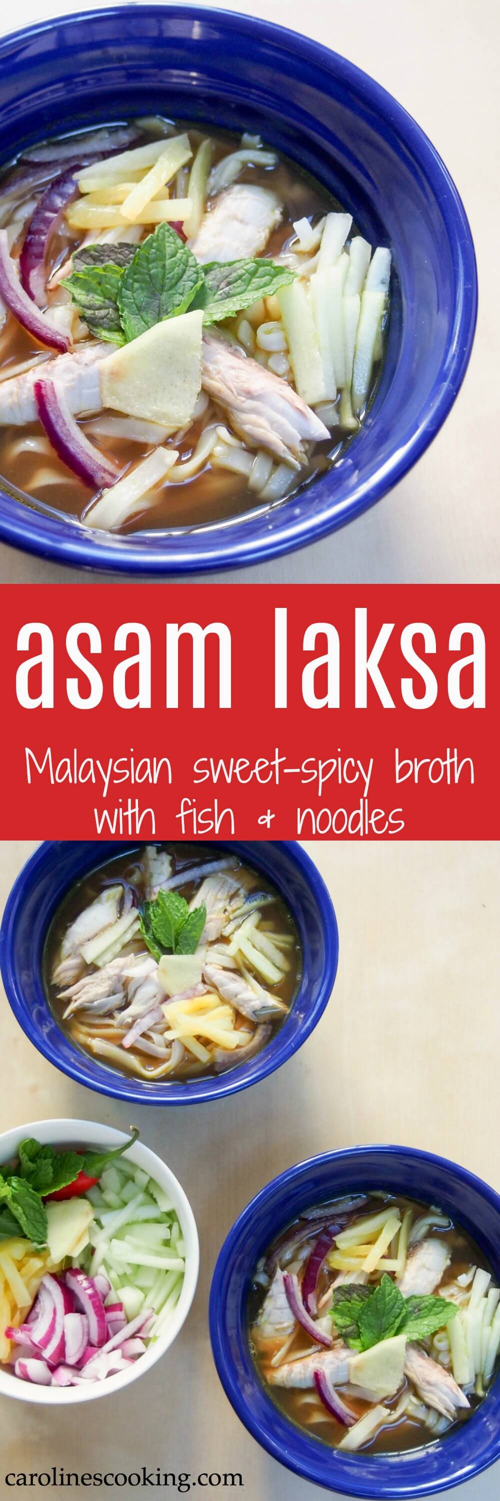 Asam laksa is a deliciously flavorful Asian broth with a spicy fish-tamarind base. It's served over rice noodles with cucumber, pineapple and mint garnish for a full meal in a bowl. This traditional Malaysian soup-like dish is perfect for any spice fans! Asam laksa is a deliciously flavorful Asian broth with a spicy fish-tamarind base. It's served over rice noodles with cucumber, pineapple and mint garnish for a full meal in a bowl. This traditional Malaysian soup-like dish is perfect for any spice fans! #Malaysianfood #laksa #fish