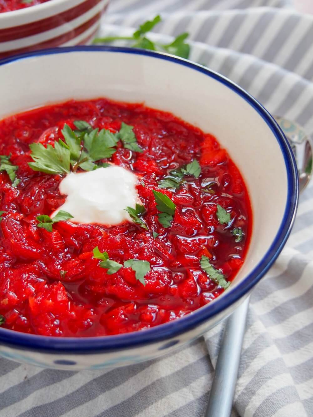 Borscht is one of the iconic dishes from Russia and it's neighbors, but you can know it as a deliciously warming, comforting bowl of soup. It gets much of its color from beets, but there's a whole lot more to this bright bowl. side view of bowl of borscht with blob of sour cream on top