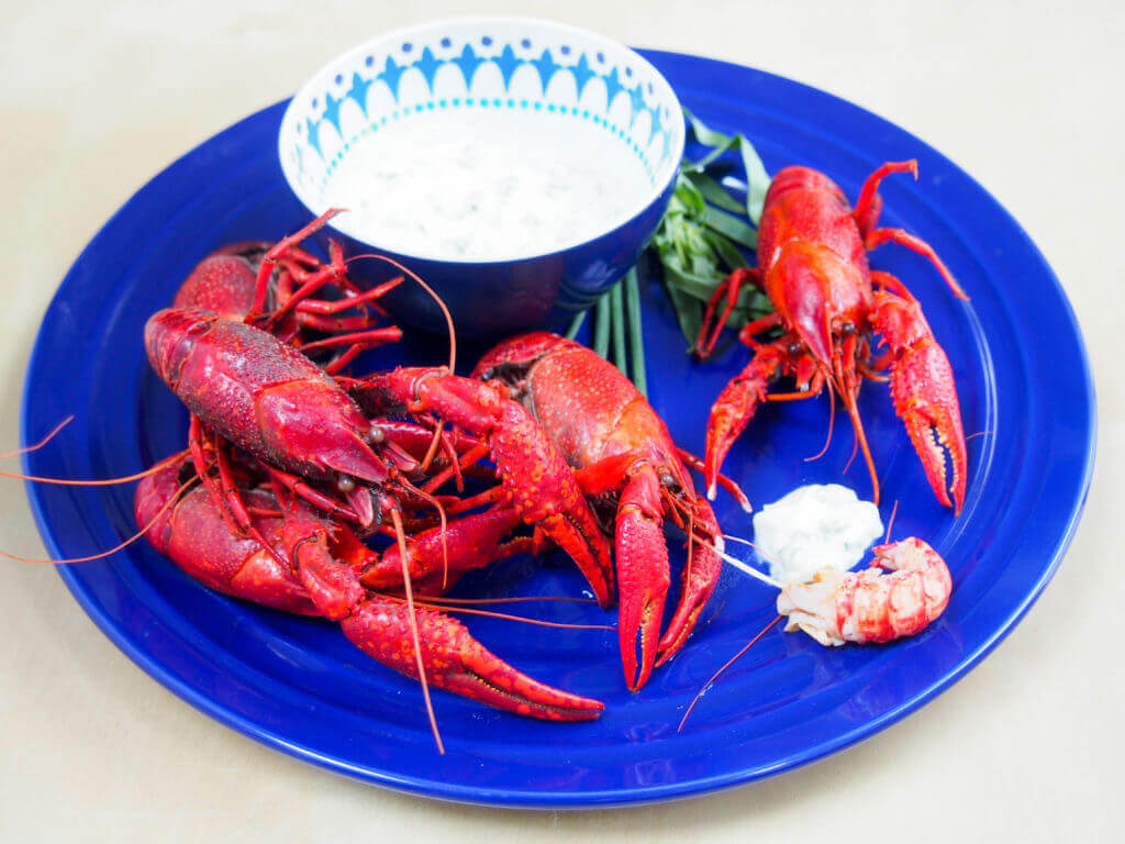 langoustines with herbed cream