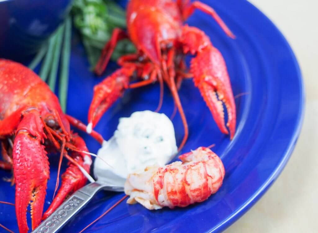 Langoustines with herbed cream are commonly eaten in Denmark for midsummer and it's easy to understand why, they're truly delicious. Easy to prepare too.