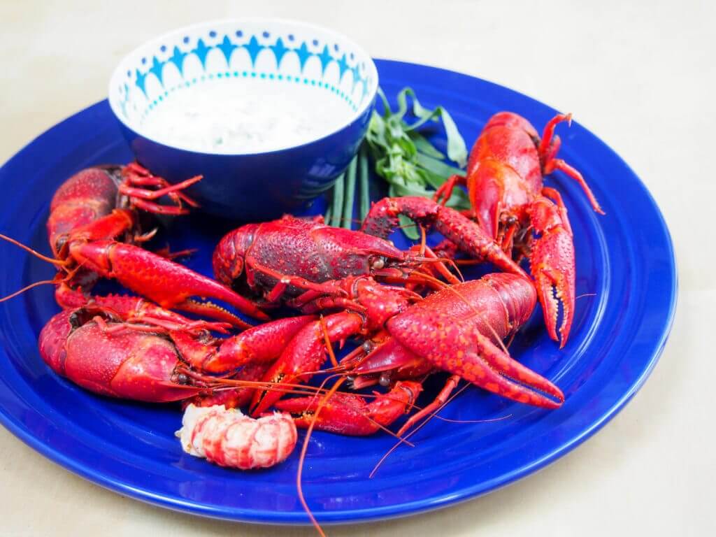 Langoustines with herbed cream are commonly eaten in Denmark for midsummer and it's easy to understand why, they're truly delicious. Easy to prepare too.