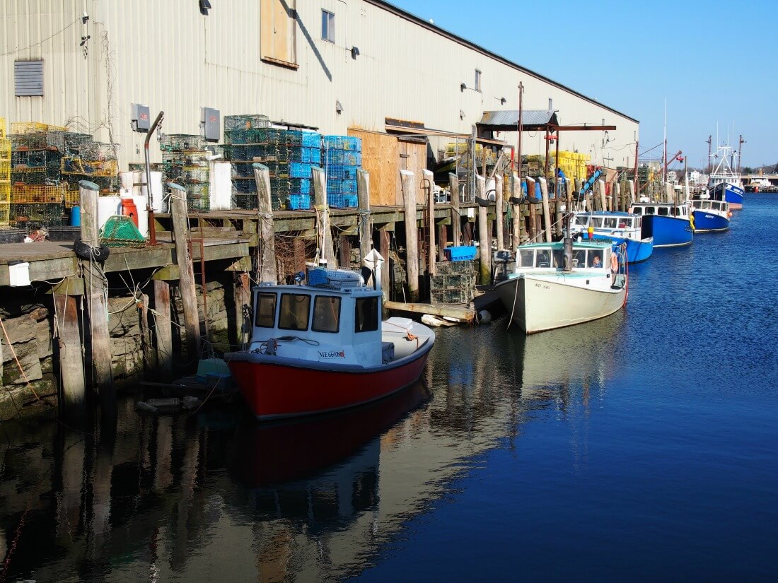 Portland harbor with boats in water