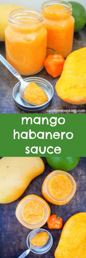 Mango habanero sauce gives a wonderful sweet-spicy kick to tacos and more. Really easy to make, and surprisingly healthy, it'll be a go-to hot sauce. Mango habanero sauce gives a wonderful sweet-spicy kick to tacos and more. Really easy to make, and surprisingly healthy, it'll be a go-to hot sauce.