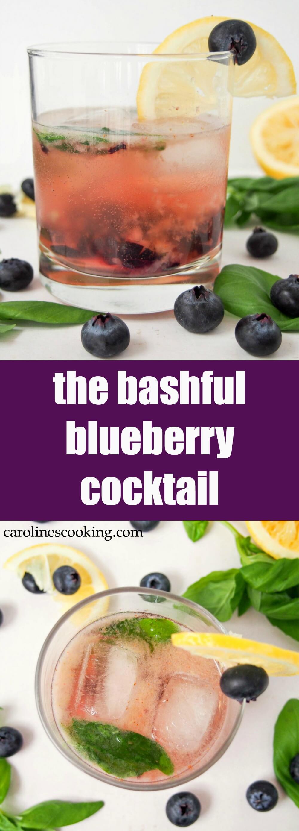 This bashful blueberry cocktail is a delicious mix of blueberries, lemon, vermouth, whiskey and a hint of basil. Topped with soda, it's a refreshing drink perfect for summer sipping. Easy to make & easy to enjoy!