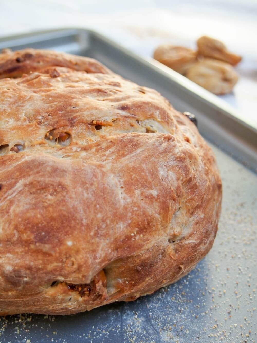 whole loaf of fig and walnut bread out oven
