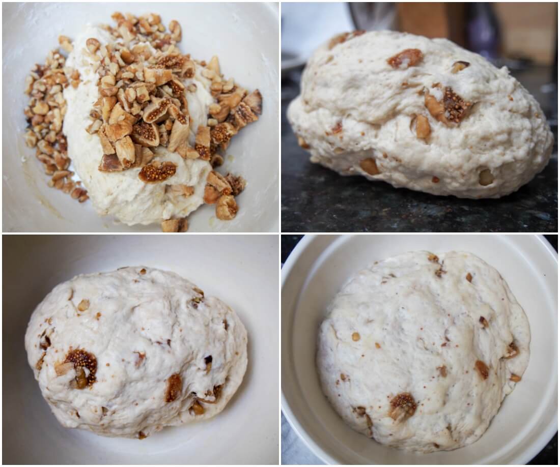 stages bread - adding walnuts and dried figs, mixed dough, dough before and after rise in bowl