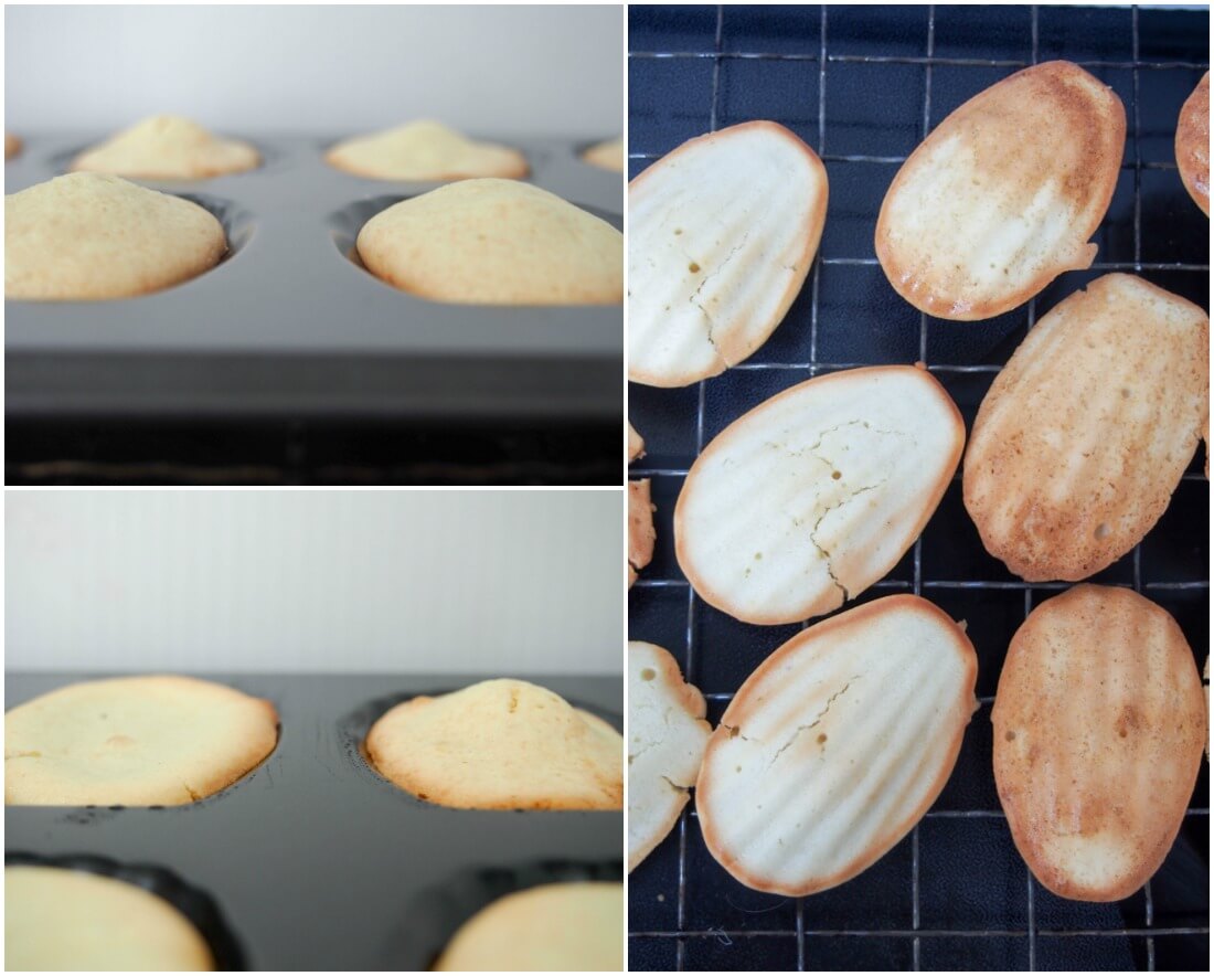 comparison of adding baking powder or not to madeleines baking powder v none comparison showing less rise with no baking powder and more cracked