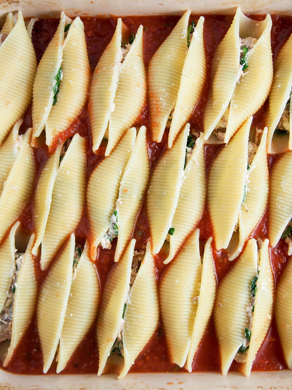 stuffed shells nestled in sauce