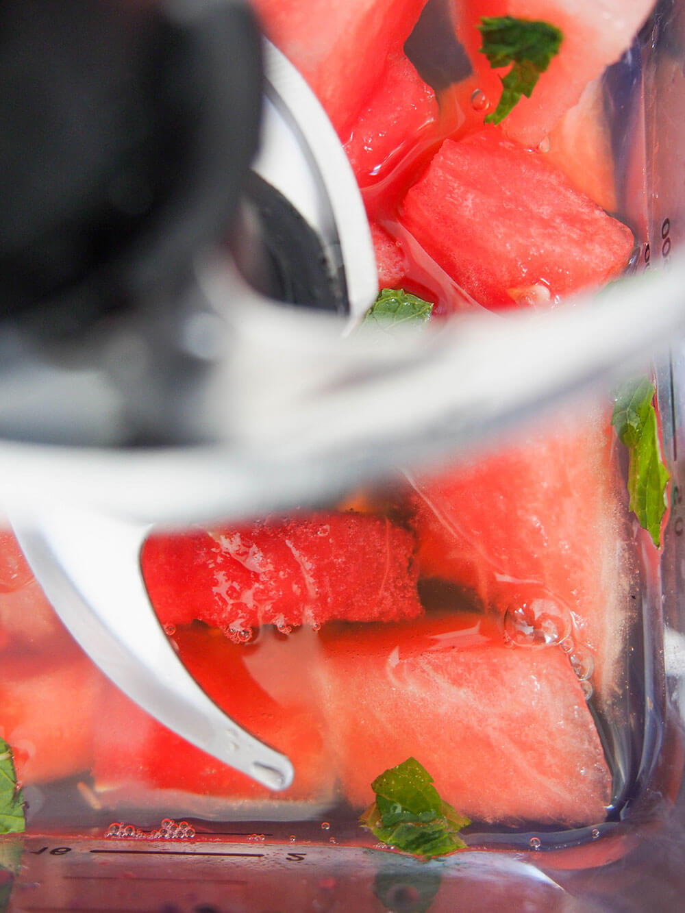 chunks of watermelon and coconut water in blender