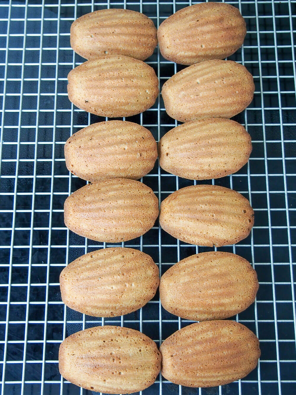 gingerbread madeleines cooling after tipping out of pan