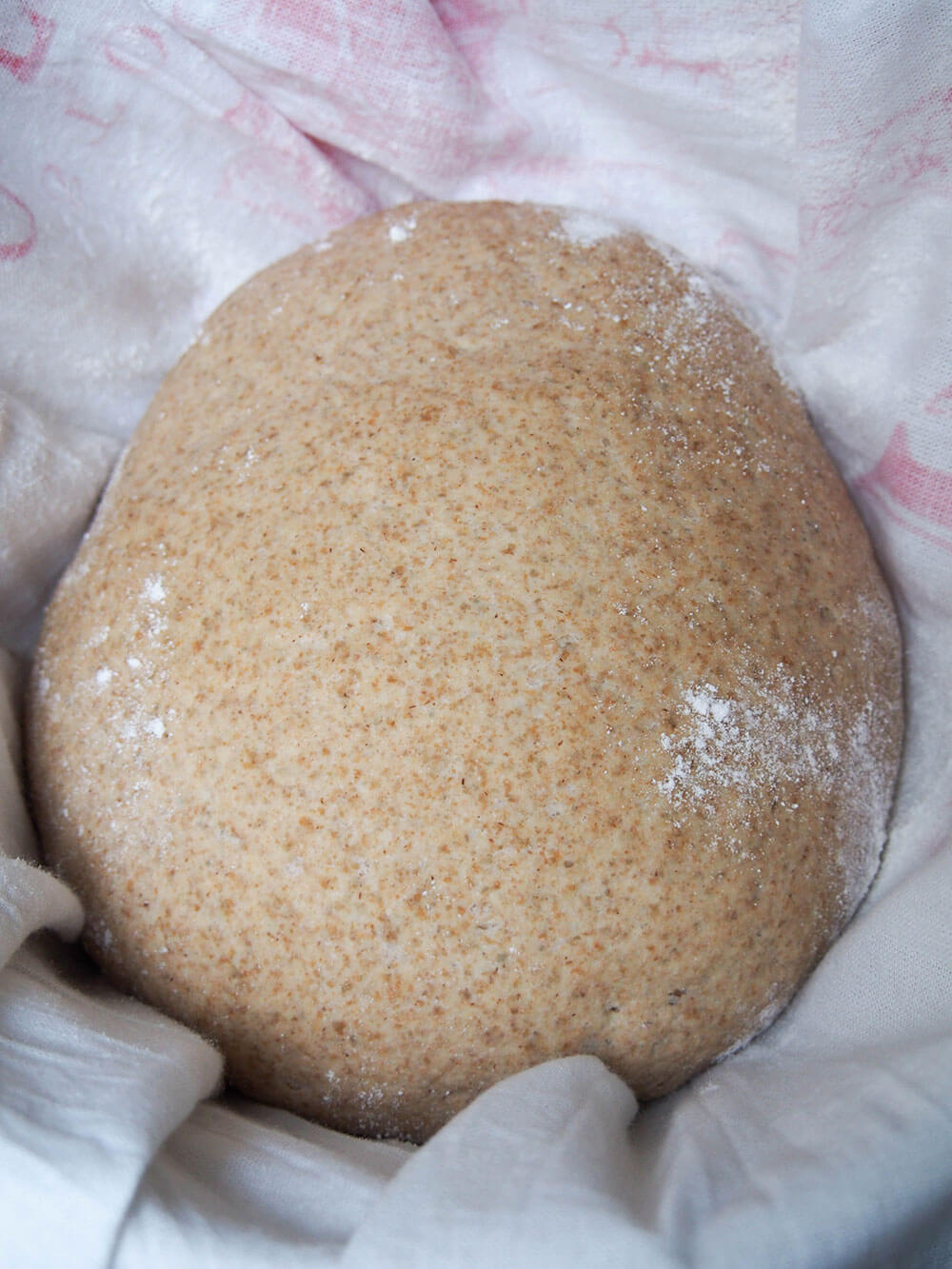 sourdough rye bread after final rise