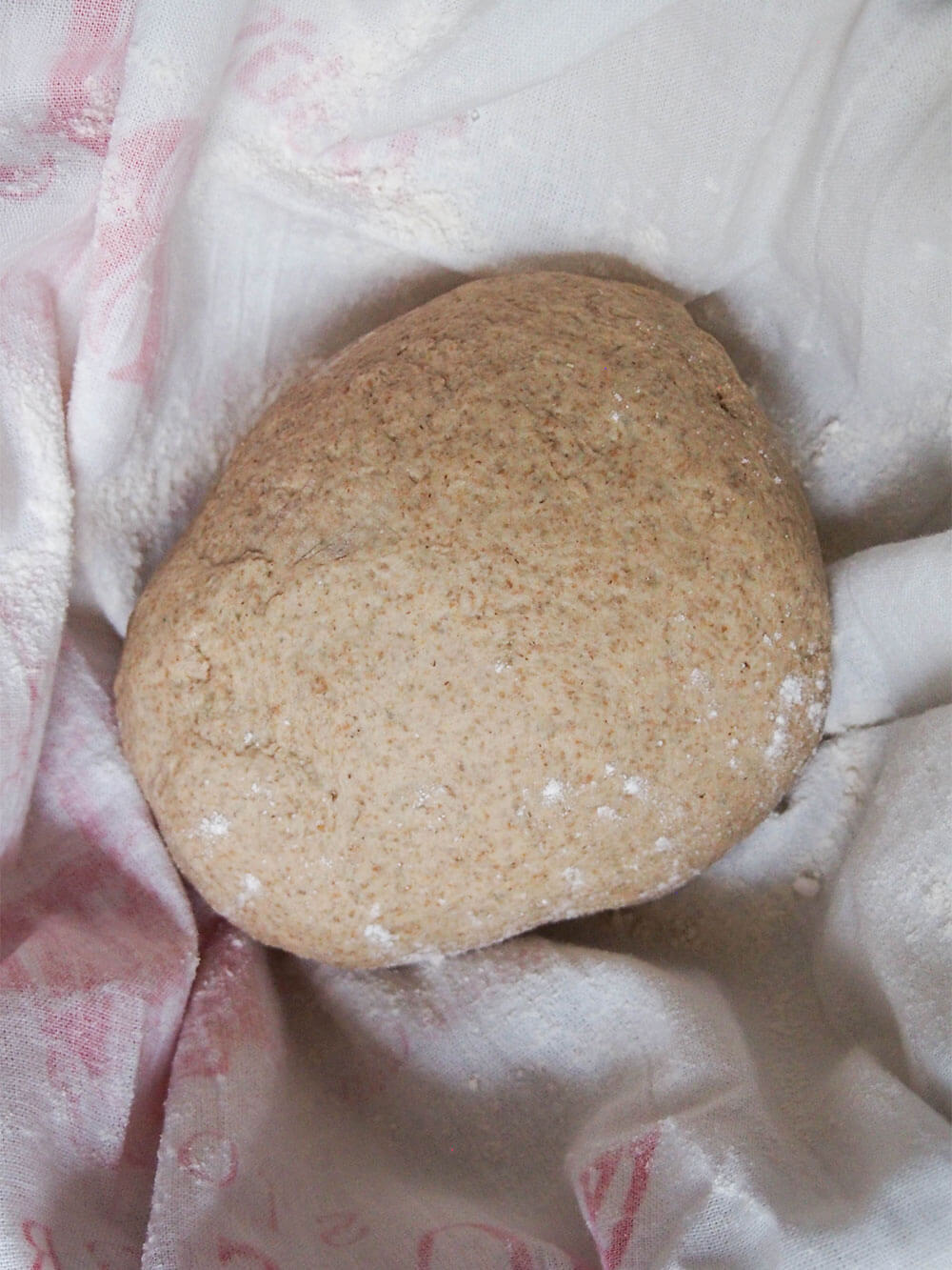 sourdough rye bread before final rise