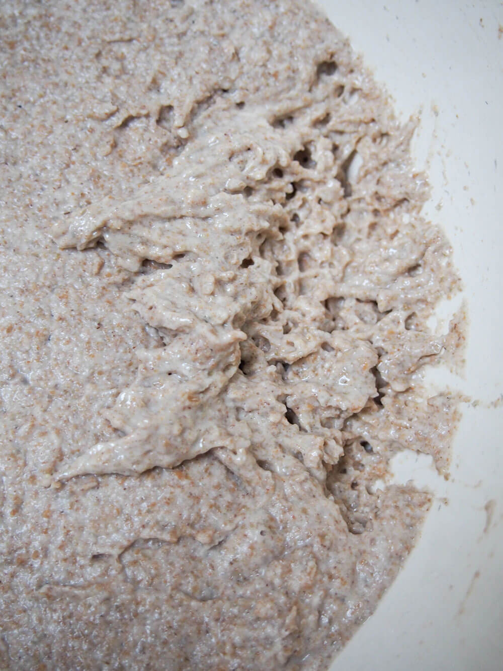 sourdough rye bread sponge after rise