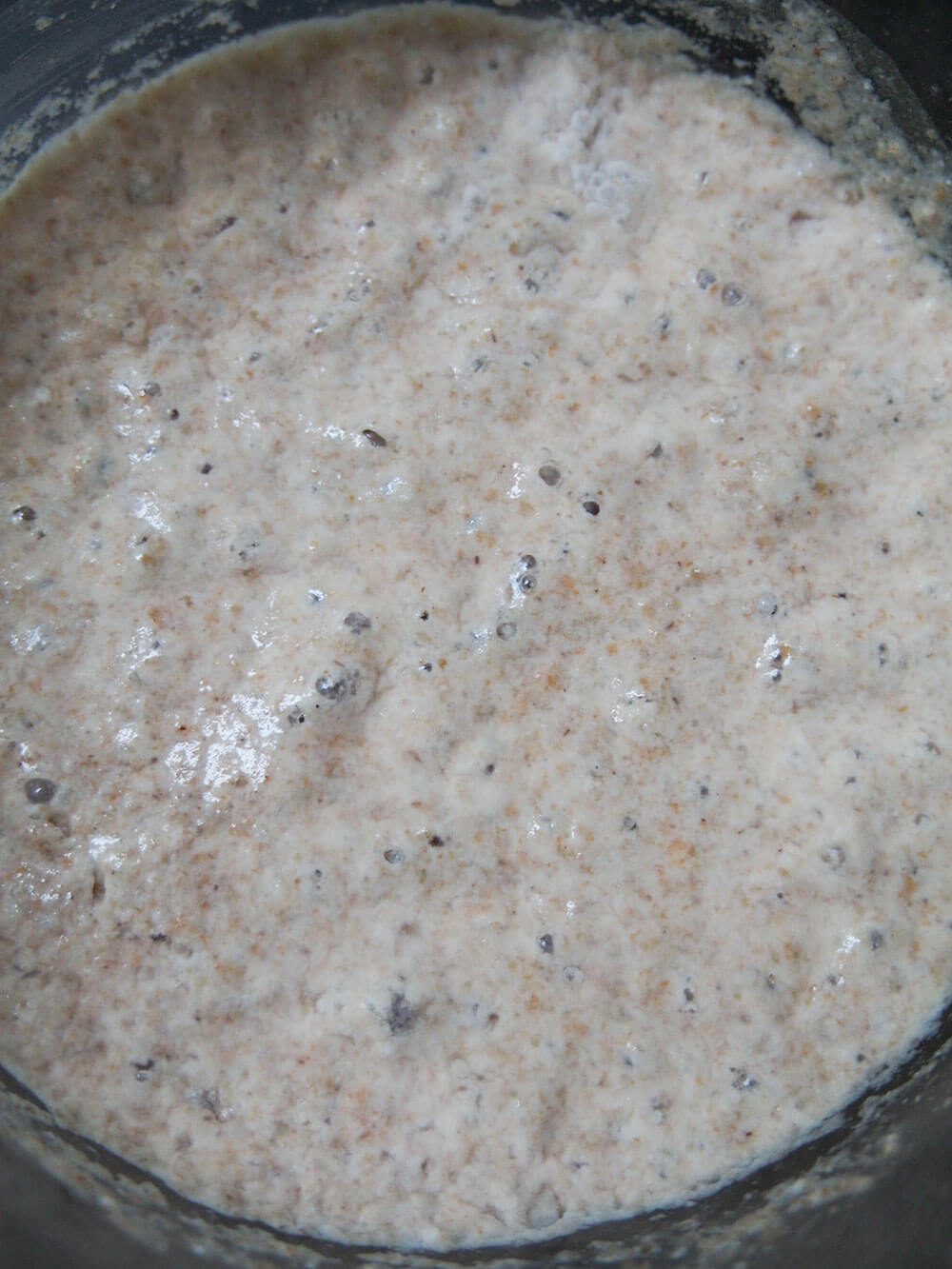 sourdough rye bread starter day 5