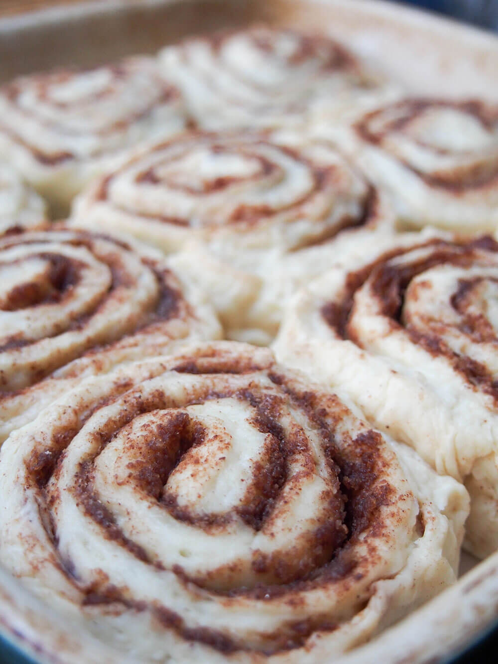 eggnog cinnamon rolls in dish before baking 