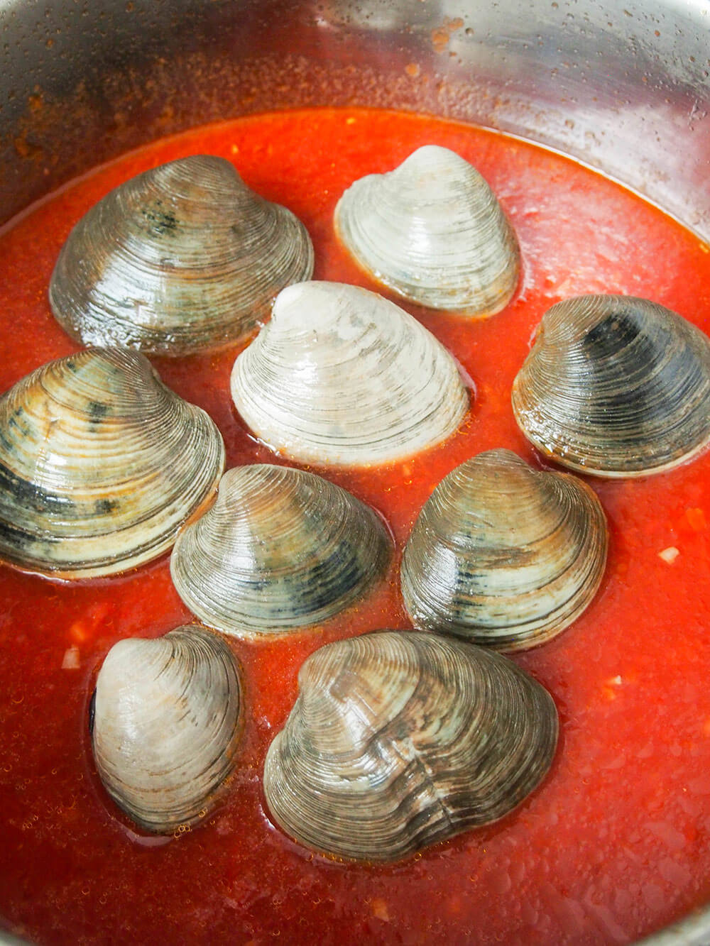 starting to cook clams in tomato sauce