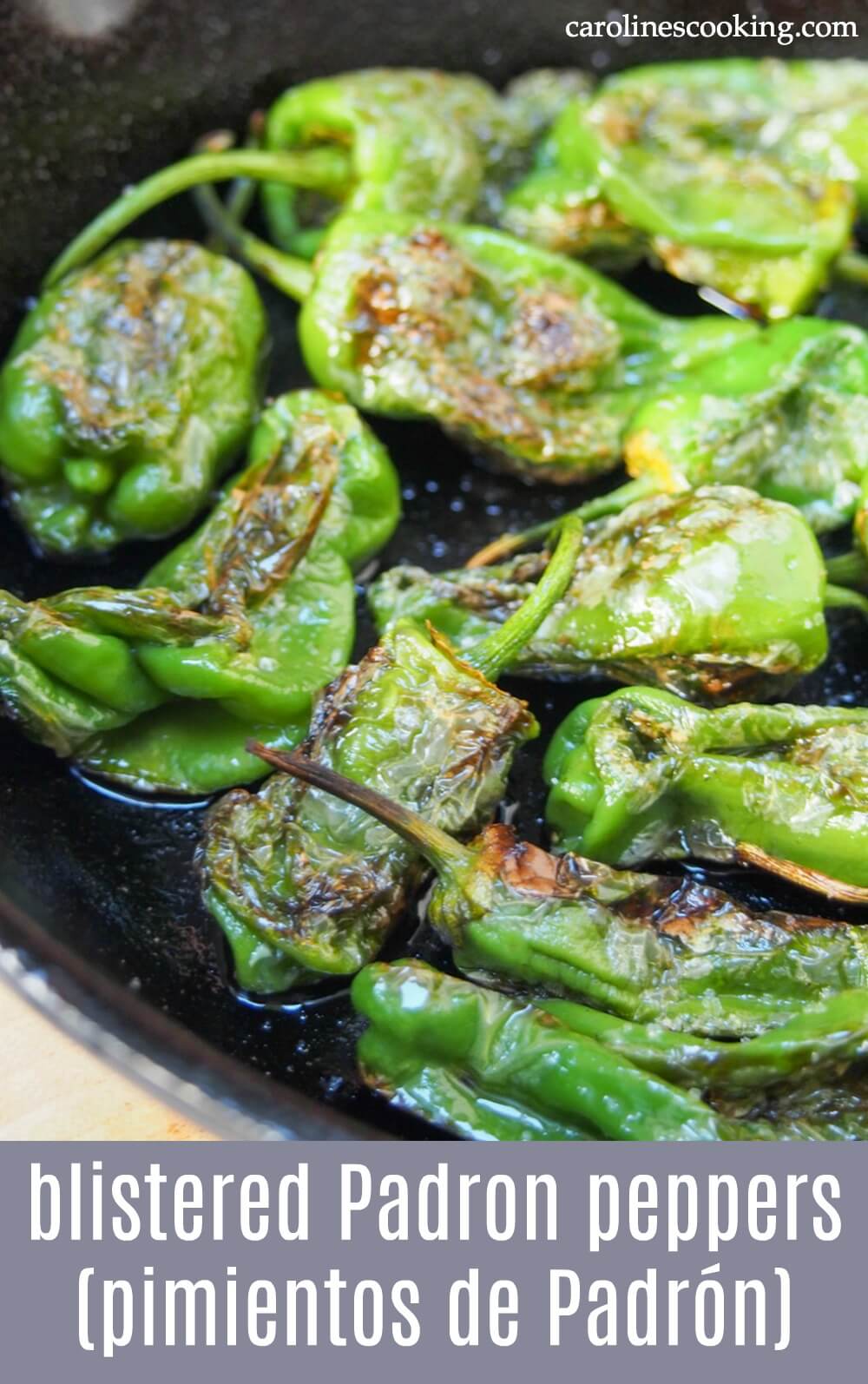 Blistered Padron peppers (pimientos de Padrón) - Blistered Padron peppers are a classic Spanish tapas that were always high up my list to order in Spain. But they're also incredibly easy to make at home, taking just a couple minutes! #padronpeppers #spanishtapas #tapas