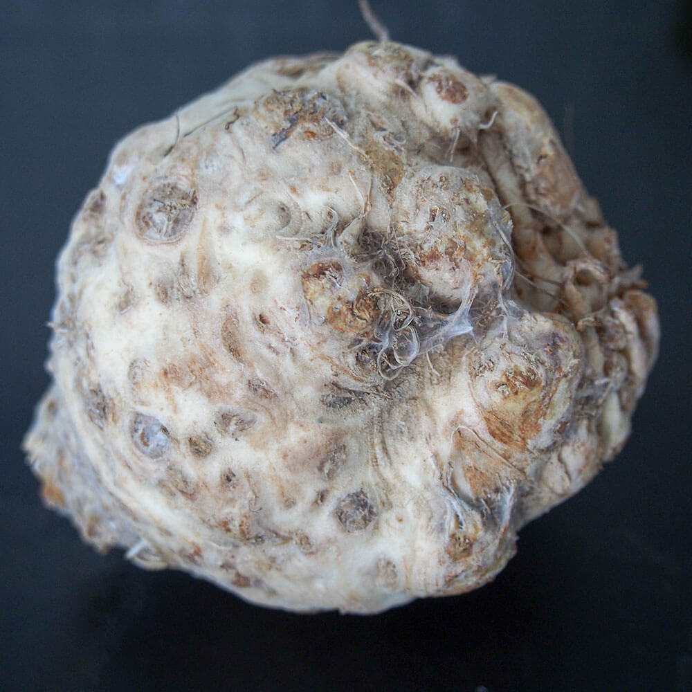 whole celeriac, also known as celery root whole celeriac, also known as celery root