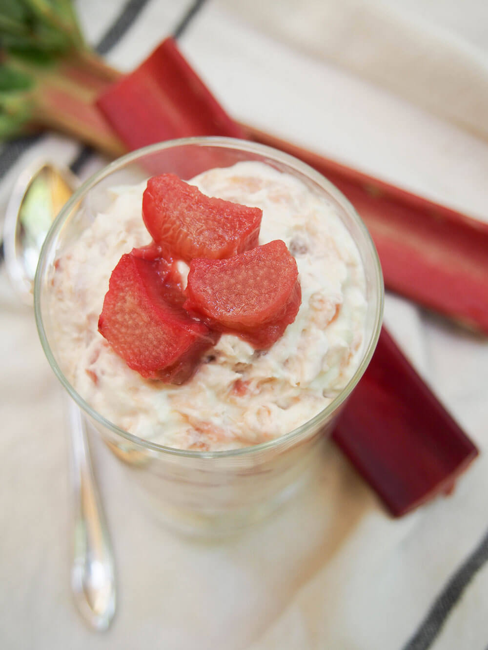 Rhubarb fool from overhead with pieces of rhubarb on top