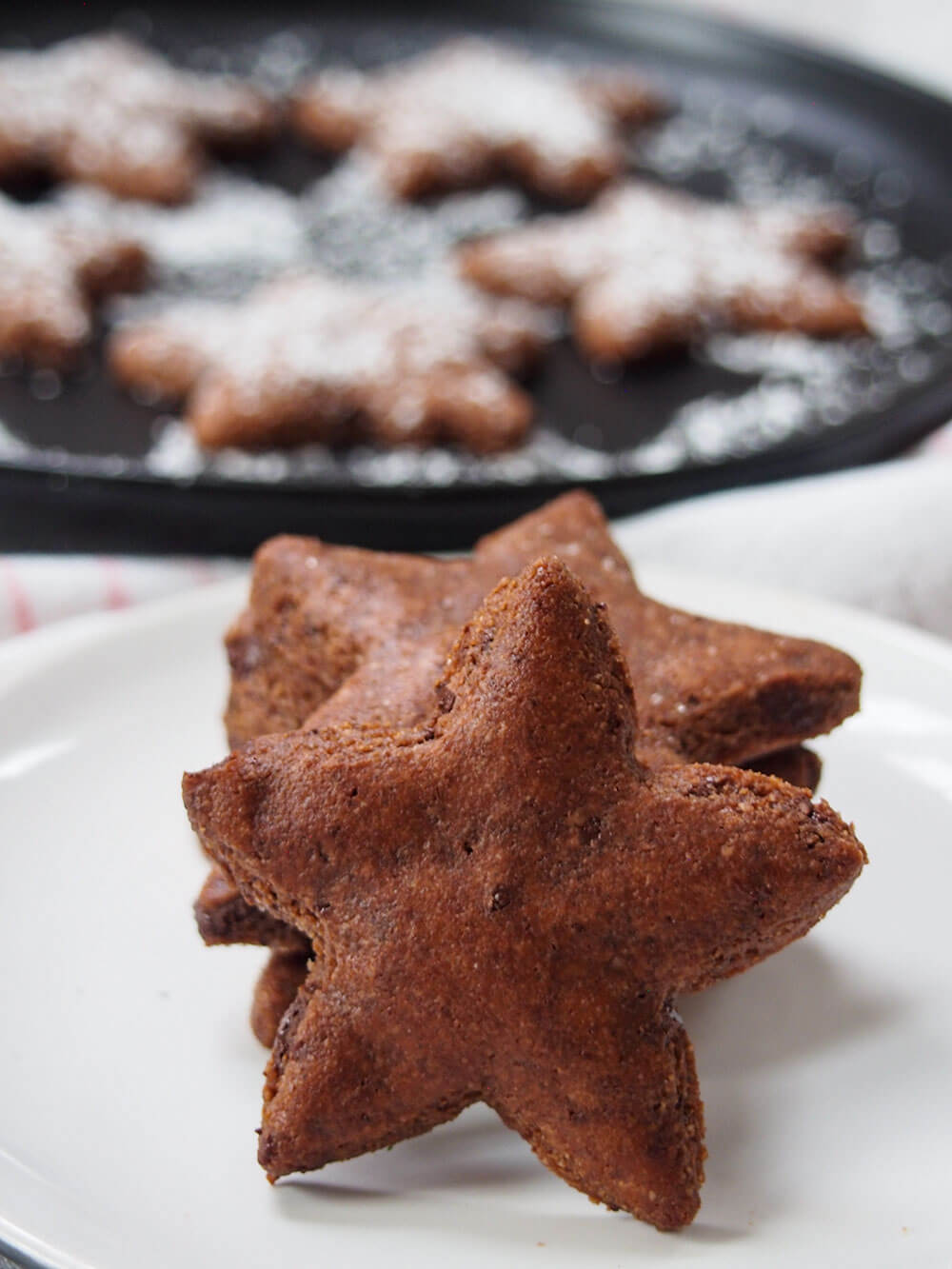 Basler brunsli (Swiss chocolate almond cookies) with one standing on end in front of stack