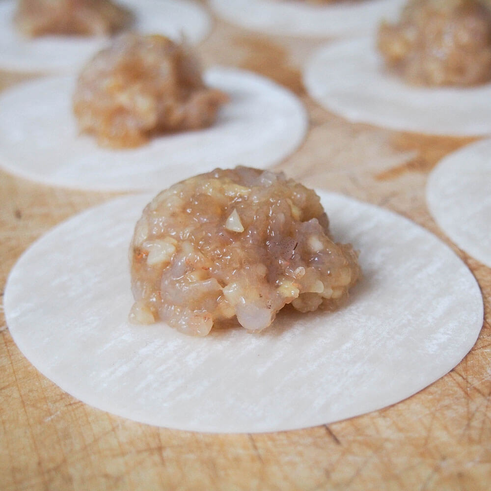 filling on top of dumpling wrappers