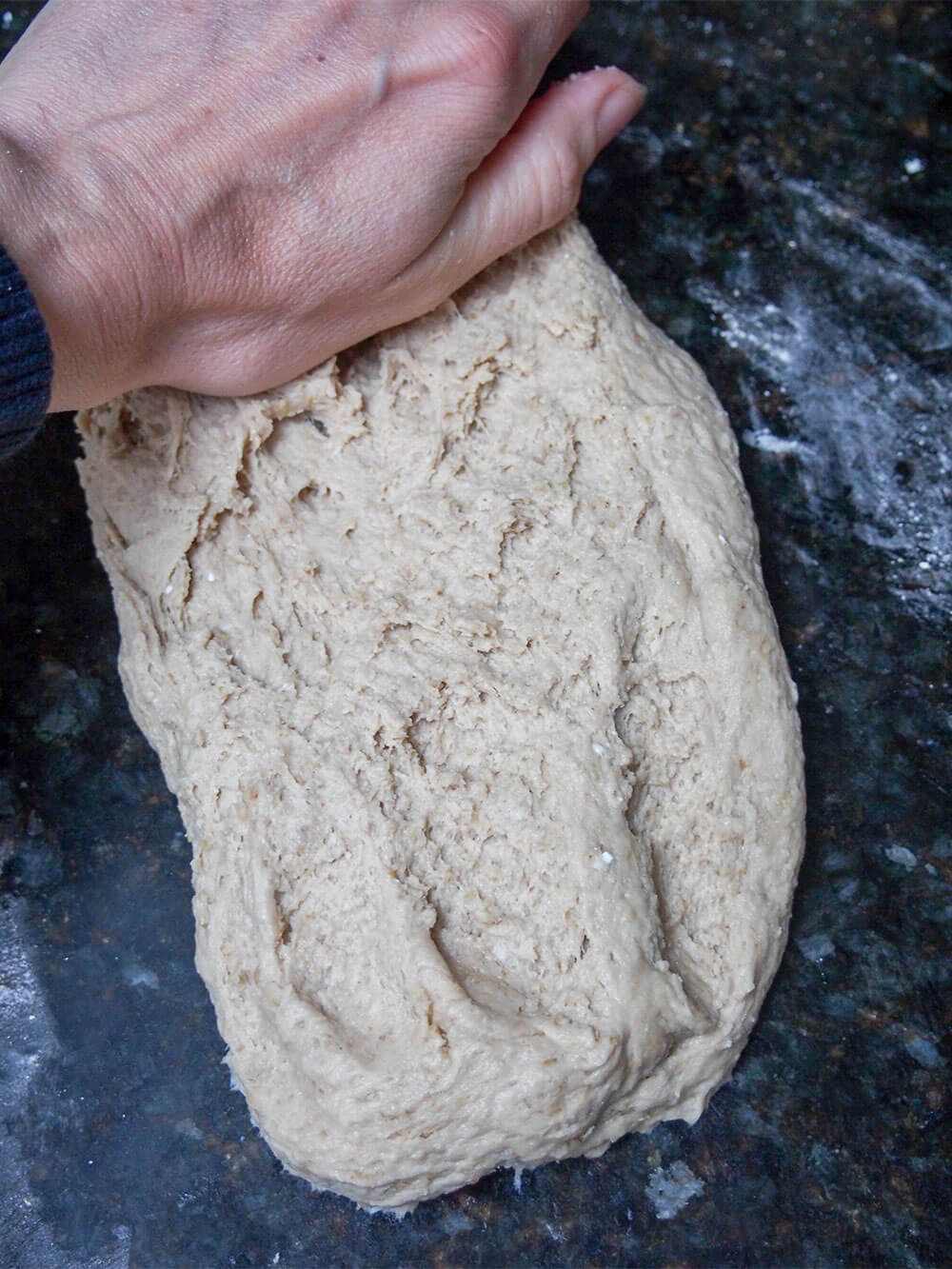 kneading sprouted wheat bread dough