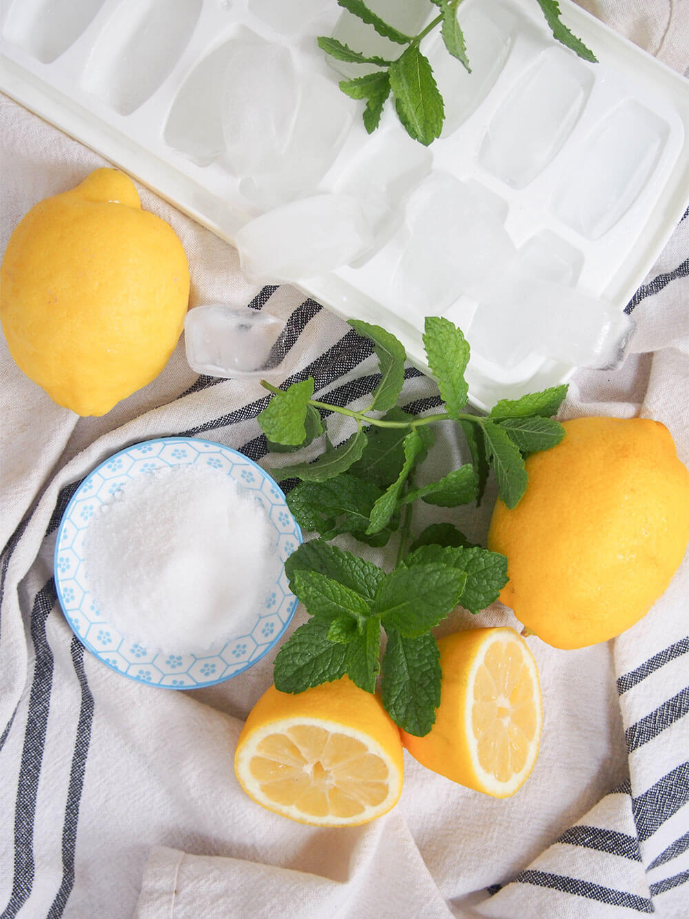 ingredients for limonona, mint lemonade