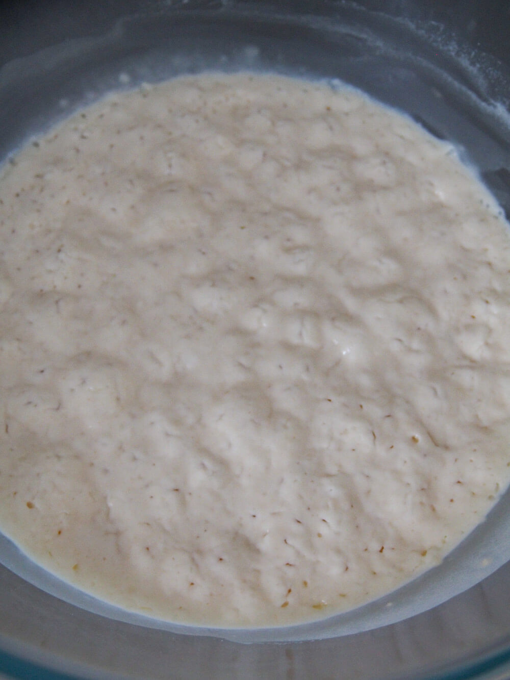 sponge mixture after overnight soak for sourdough pancakes sponge mixture after overnight soak