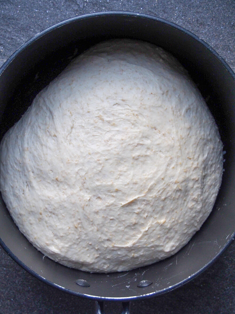 sourdough pizza dough in bowl after rise, ready to use