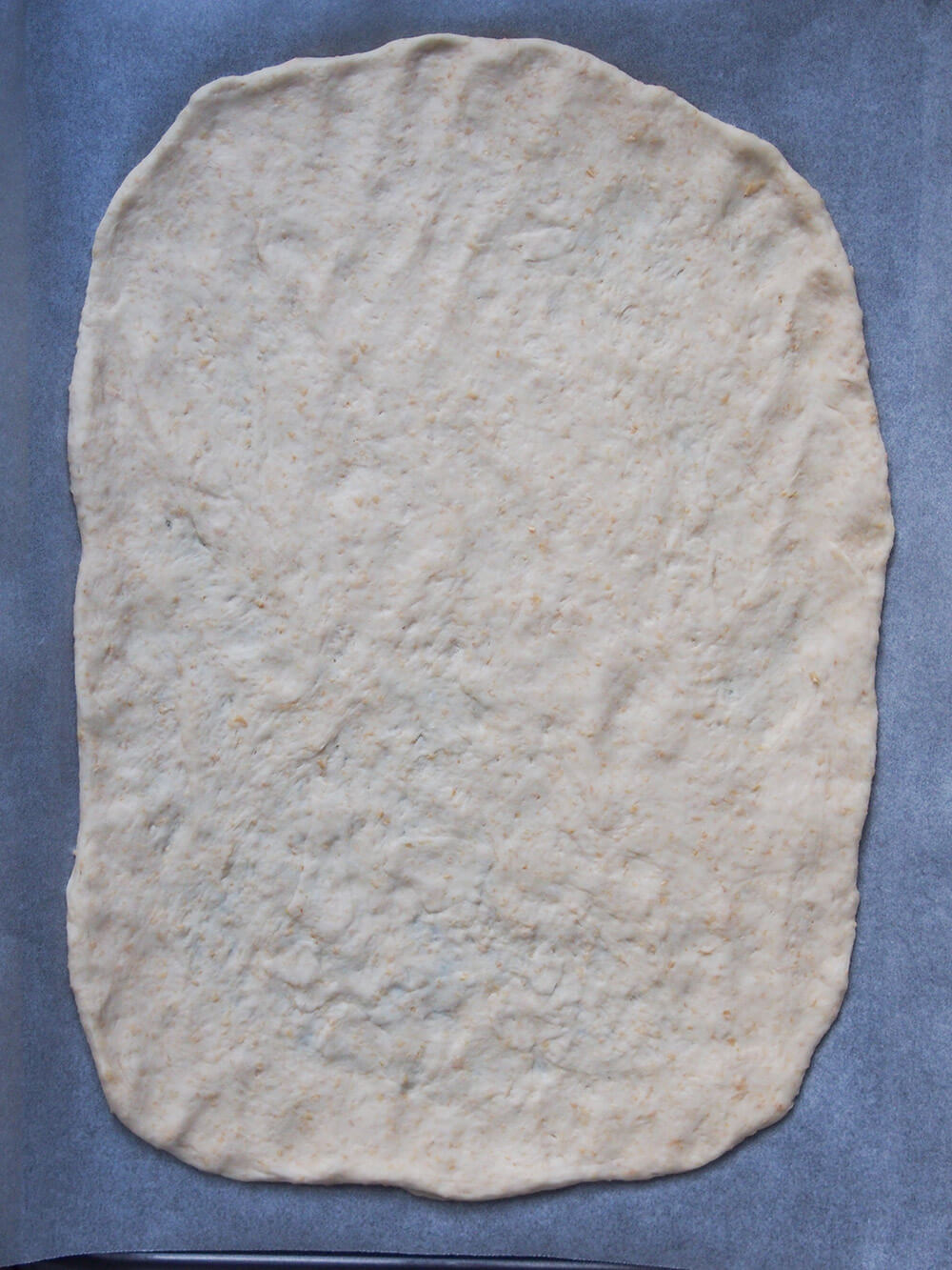 pizza base ready to add toppings