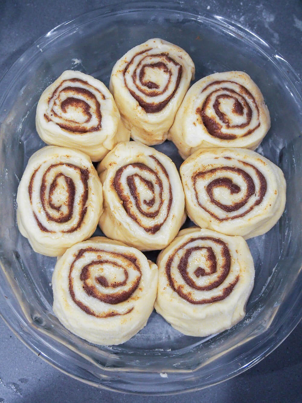 formed sourdough cinnamon rolls before baking formed sourdough cinnamon rolls before baking