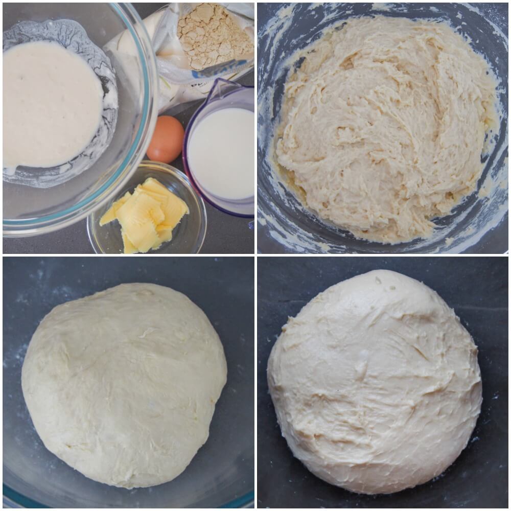 sourdough cinnamon rolls ingredients and dough pre and post rise sourdough cinnamon rolls ingredients and dough pre and post rise