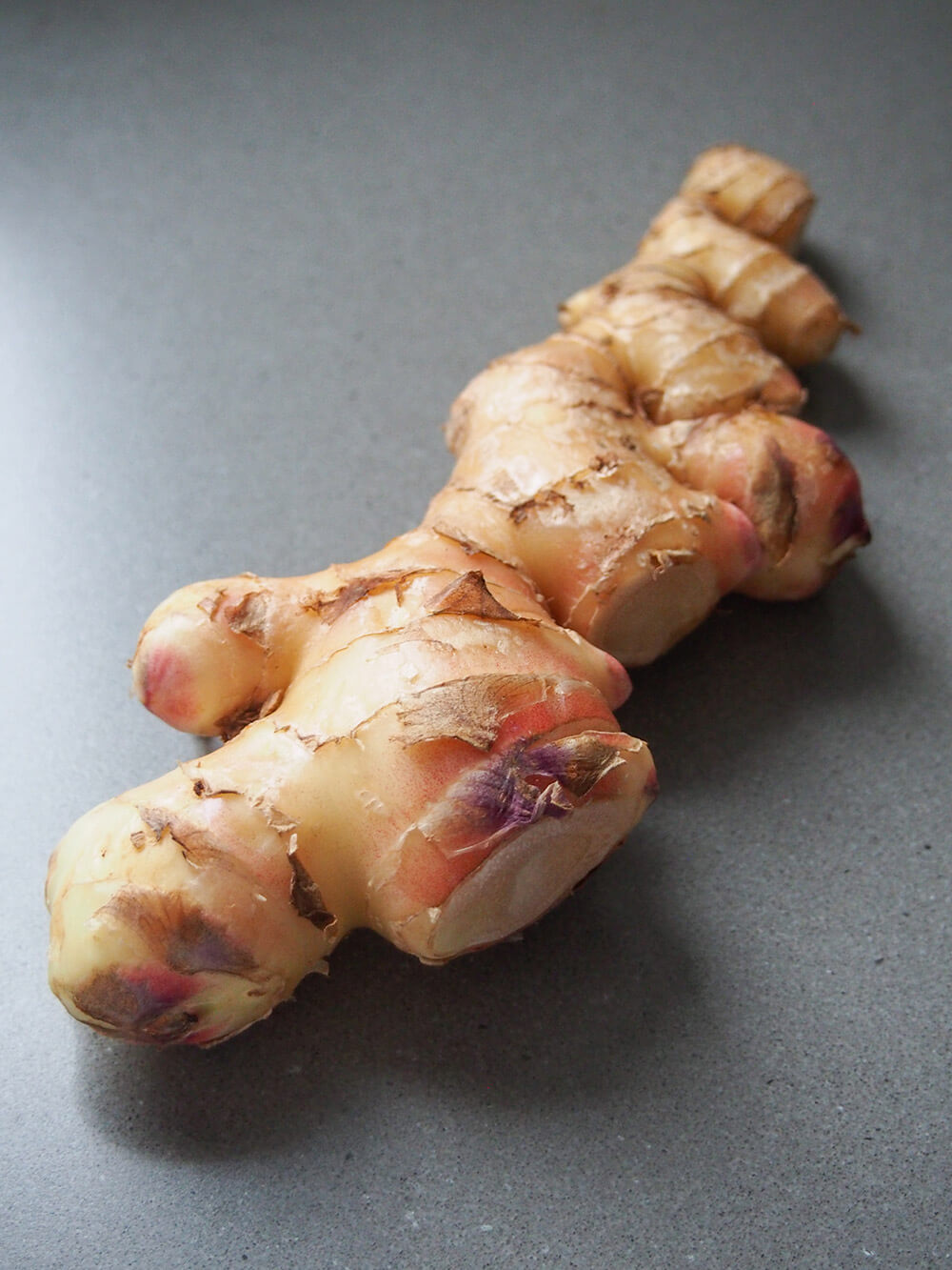 stem of young ginger