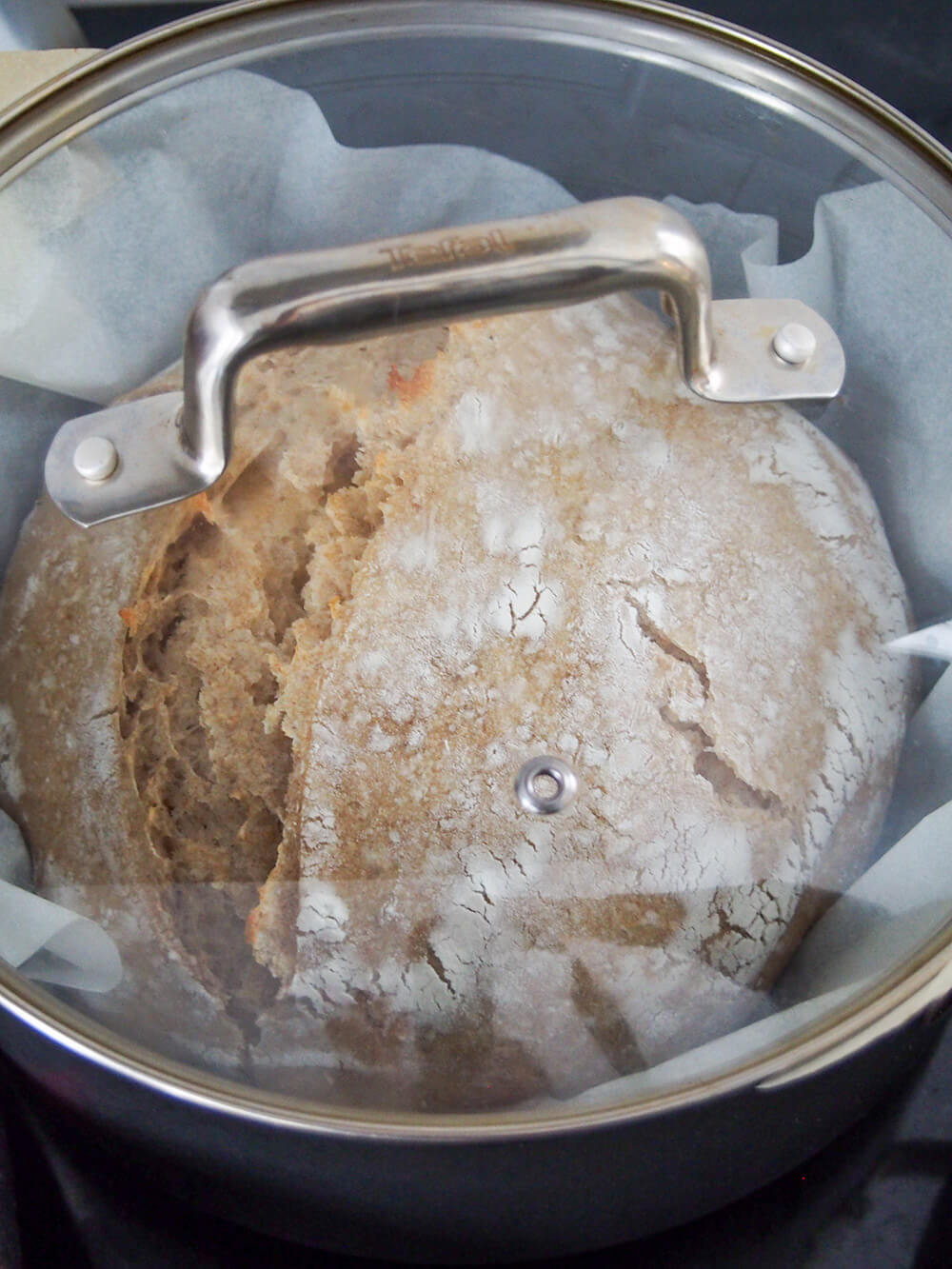half baked loaf of country bread before taking lid off for rest of bake