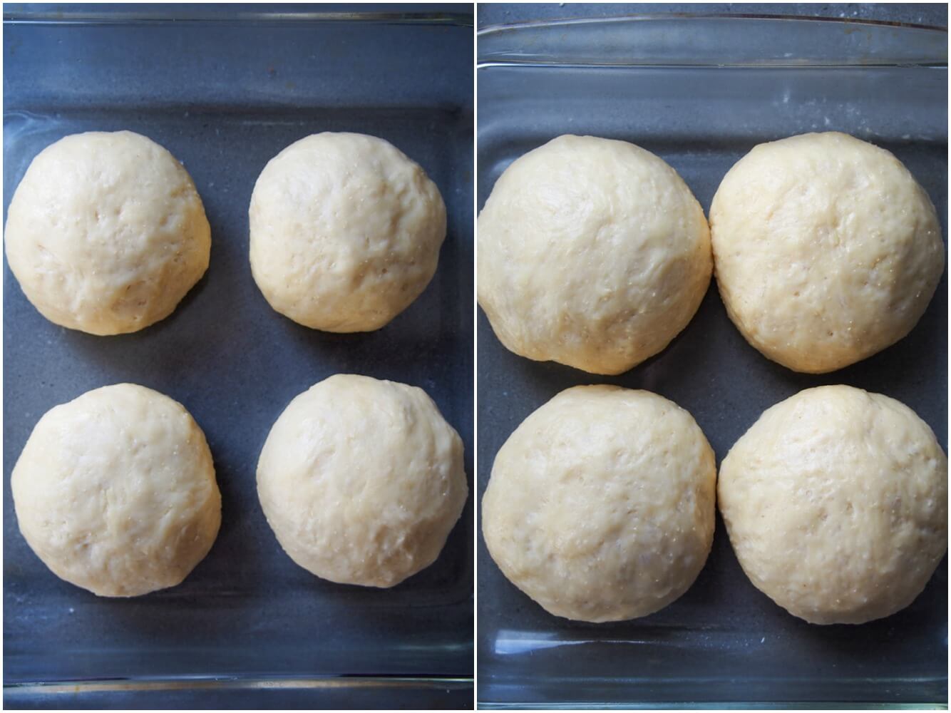 pre and post rise dampfnudel dough balls pre and post rise dampfnudel dough balls