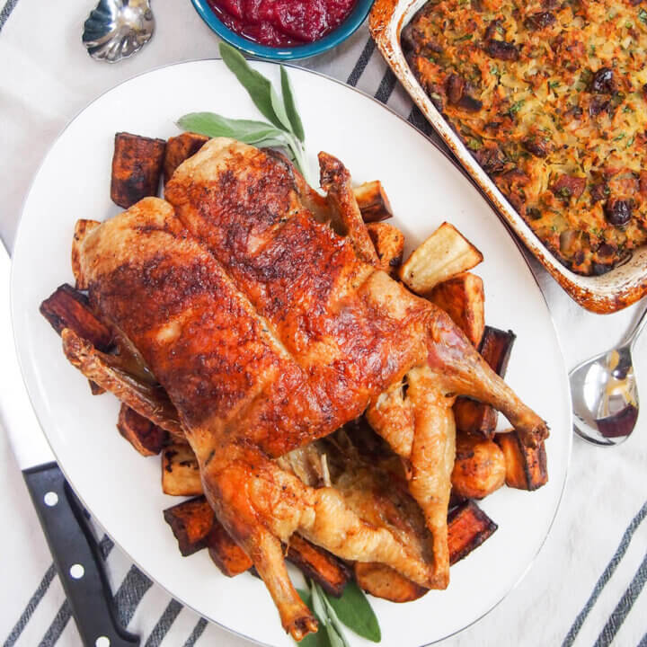 roast duck, stuffing and cranberry sauce