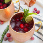 Cranberry Moscow mule in copper mug