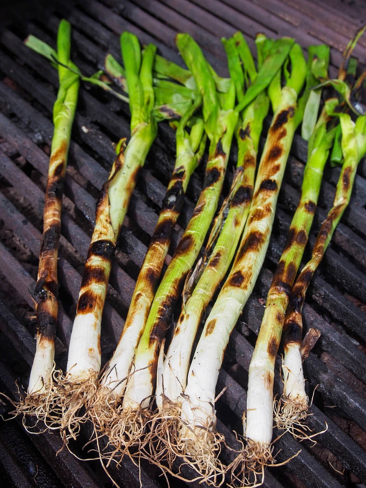 grilling spring onions to eat with romesco sauce