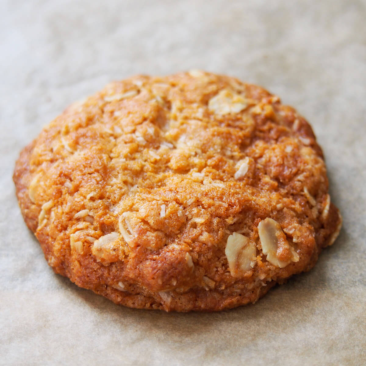 Anzac biscuit on baking sheet out oven
