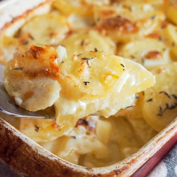 taking spoonful from Dauphinoise potatoes