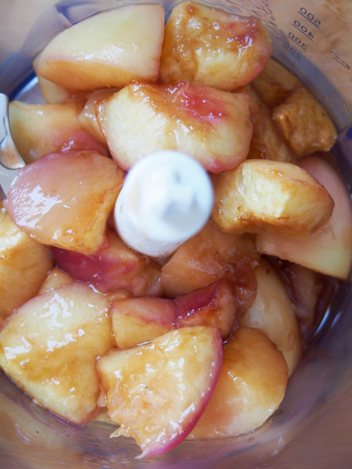 nectarine chunks in blender