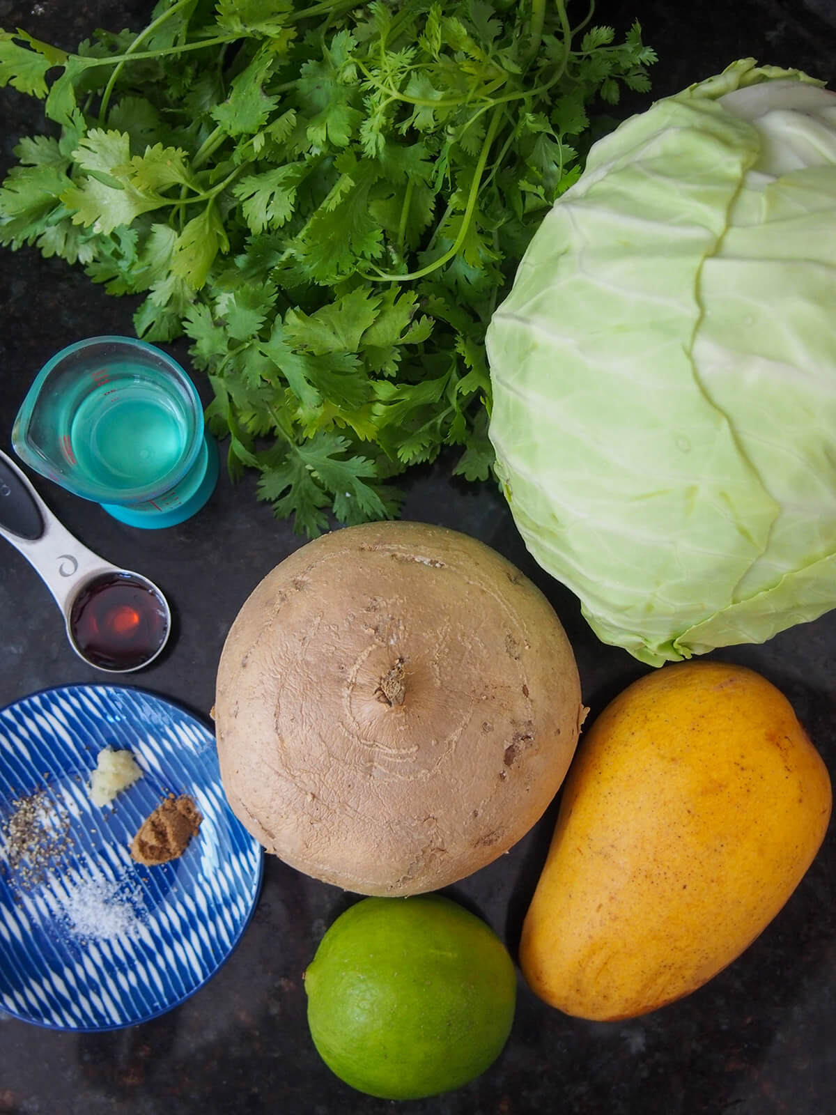 cilantro, jicama, mango, cabbage and lime with spices and oil to side