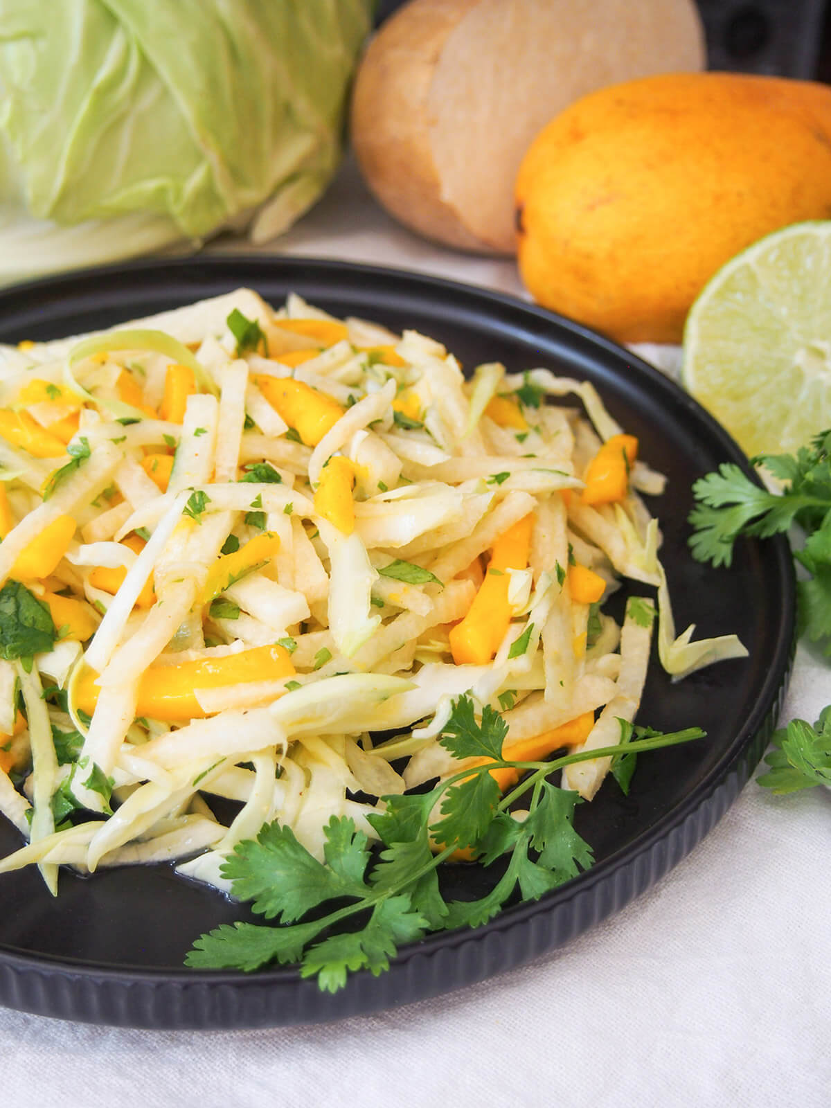 side view of plate of mango jicama slaw