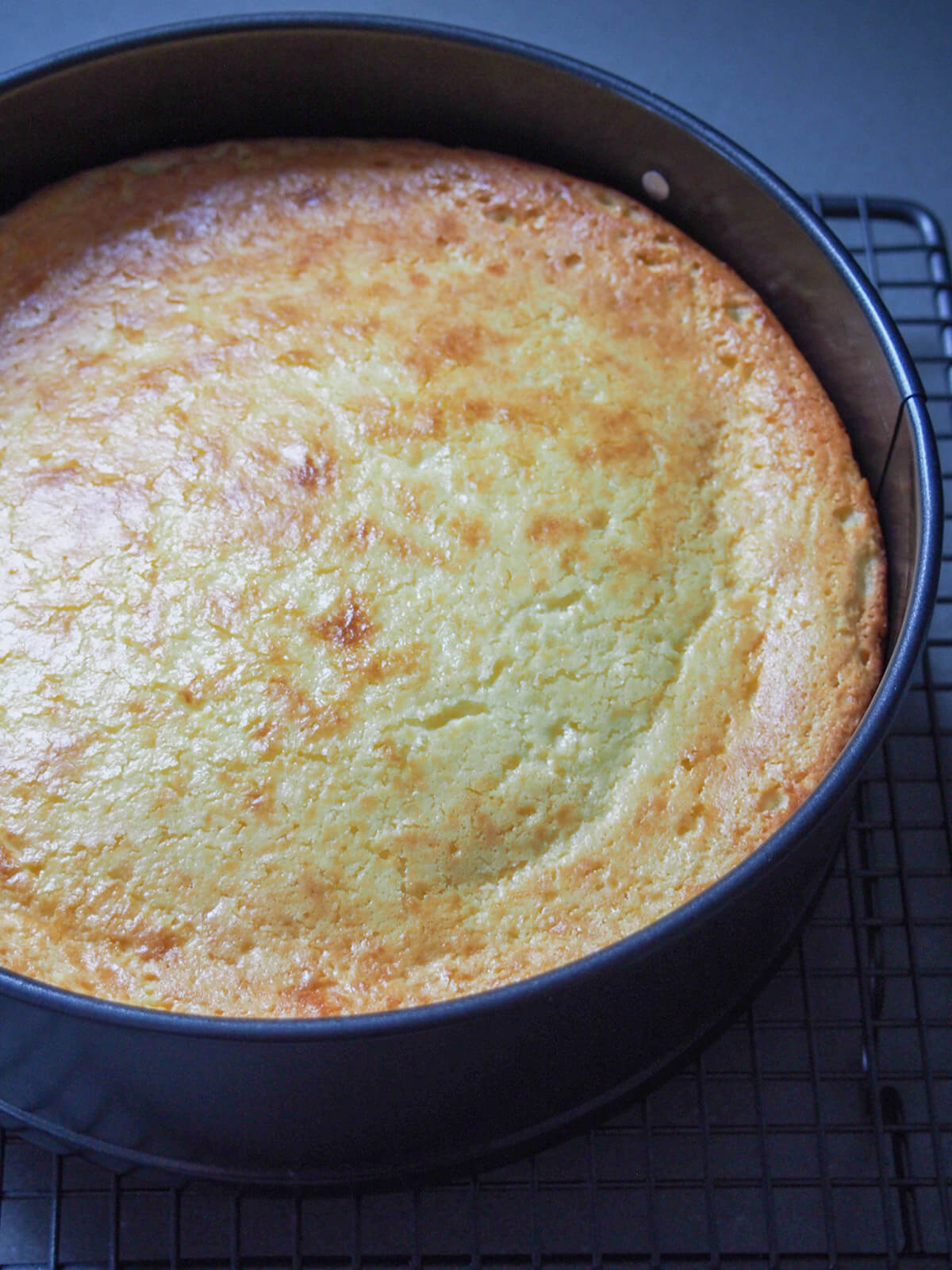 cheesecake in mould just out oven